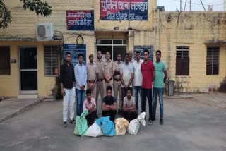 Crime in Dholpur