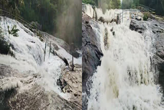 flood in kumbakarai falls