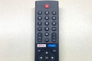 Fight between children for TV remote