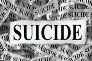 Patan Suicide Case : કોઇટા ગામની સીમમાં બહારથી આવેલા પ્રેમી યુગલે જીવન ટૂંકાવ્યું, ઓળખ થઇ