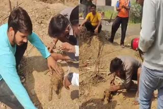 Puppy Fell In Borewell
