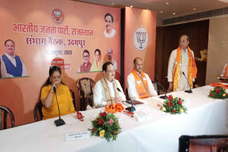 BJP workers meeting in Udaipur