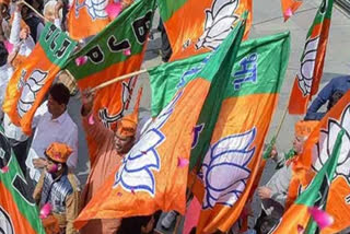 BJP in on mood to coalition with any party in Rajasthan