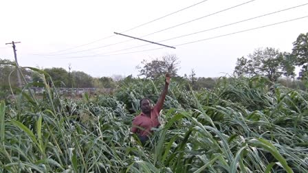 Farmers complain against electricity officer