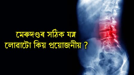 Proper care of spine is important: World Spine Day