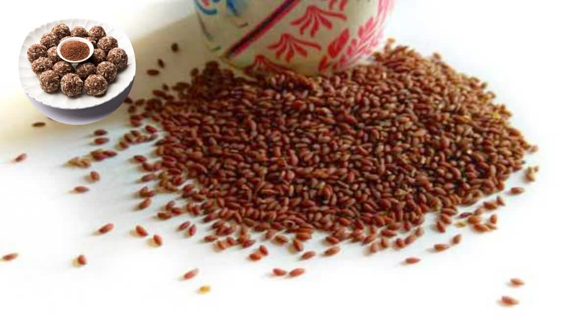 Benefits of Haleem Seeds  Haleem SEED HEALTH BENEFITS  Haleem Seed FOR MOTHERS  HOW TO PROPERLY EAT Haleem Seeds