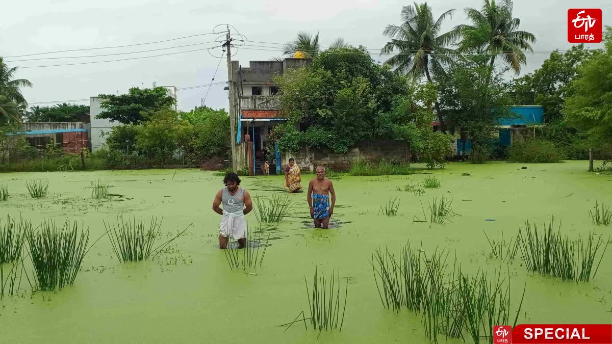 குளம் போல் தேங்கி இருக்கும் தண்ணீர்