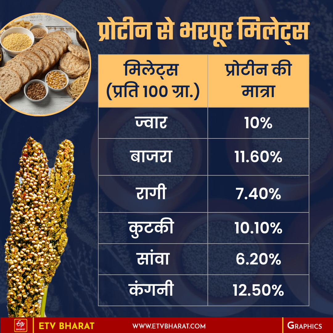 प्रोटीन से भरपूर होते हैं मिलेट्स