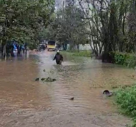 ಜಲಾವೃತಗೊಂಡಿರುವ ರಸ್ತೆ