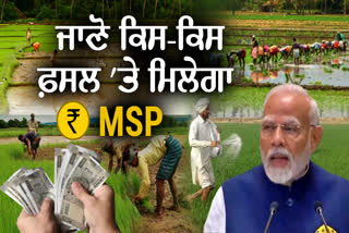 ਕਣਕ ਸਮੇਤ ਹਾੜੀ ਦੀਆਂ 6 ਫਸਲਾਂ ਦਾ MSP ਵਧਾਇਆ