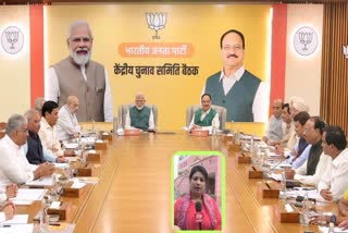 BJP  CEC Meeting