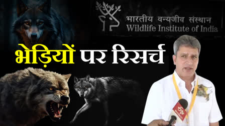 WILDLIFE INSTITUTE OF INDIA