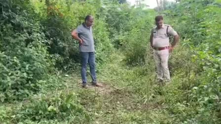 Dead body found in Surguja