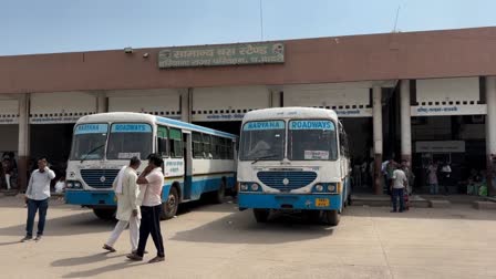 40 buses will go from Dadri to Panchkula