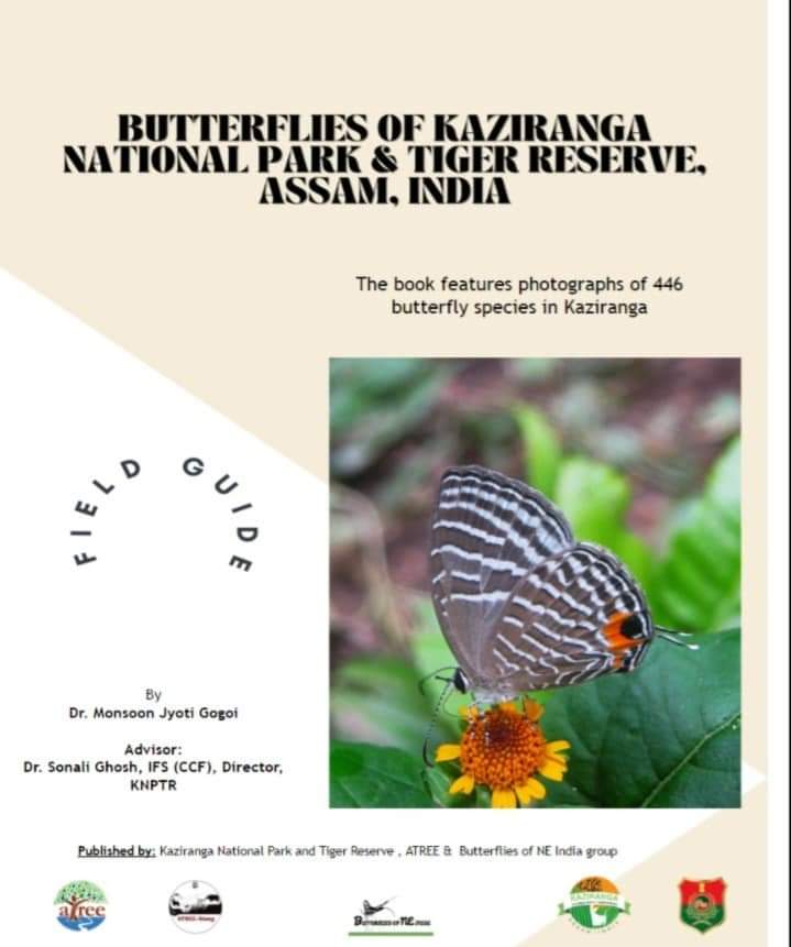 Kaziranga Butterfly