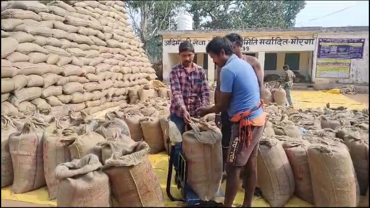 sell paddy at MSP