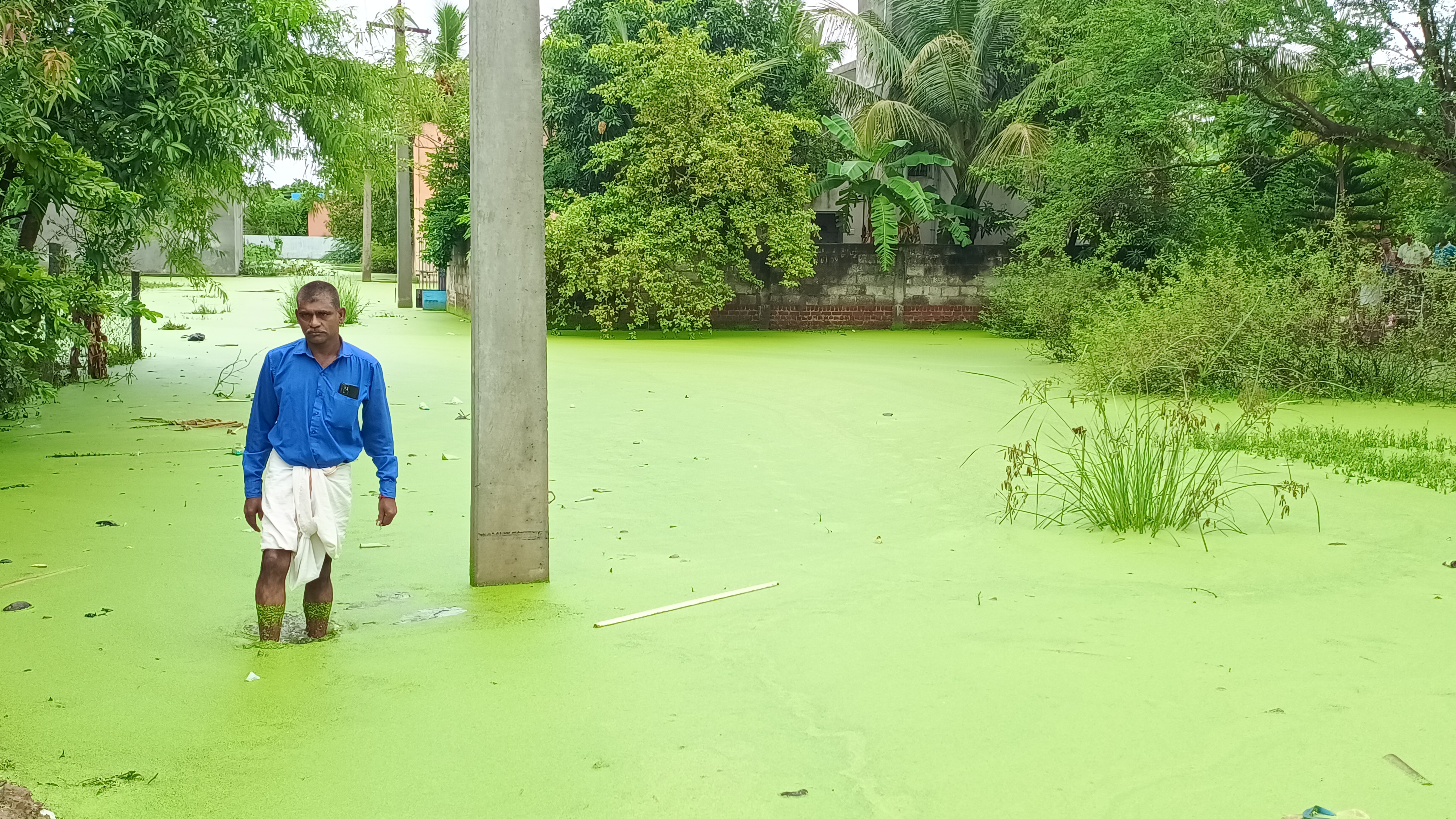 குளம் போல் தேங்கி இருக்கும் தண்ணீர்