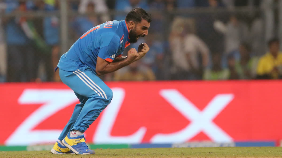 Cricket World Cup 2023  Mohammed Shami  Most Wickets In Cricket World Cup 2023  Mohammed Shami Stats In World Cup 2023  Mohammed Shami Wickets Cricket World Cup  ഏകദിന ക്രിക്കറ്റ് ലോകകപ്പ്  ലോകകപ്പില്‍ കൂടുതല്‍ വിക്കറ്റ്  മുഹമ്മദ് ഷമി  മുഹമ്മദ് ഷമി വിക്കറ്റ്  ക്രിക്കറ്റ് ലോകകപ്പ് മുഹമ്മദ് ഷമി