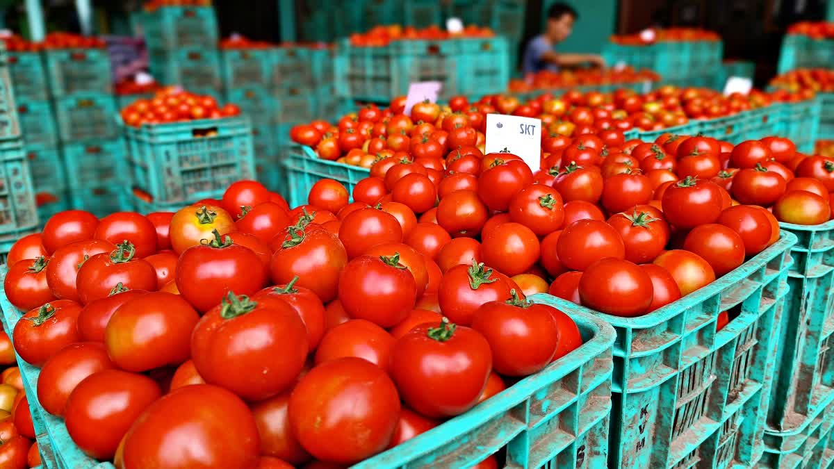 Tomato Price Hike in Himachal