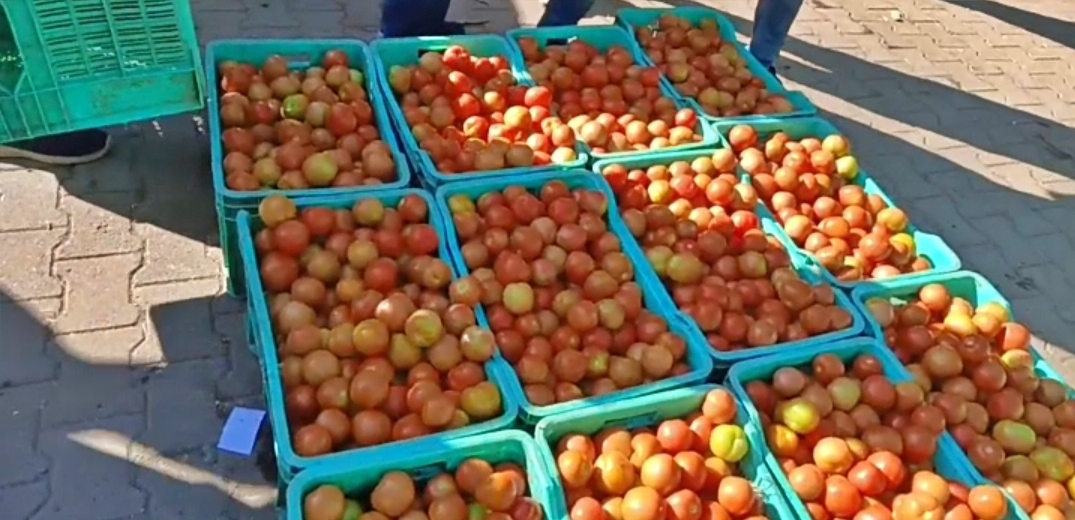 Tomato Price Hike in Himachal