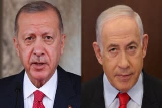 Turkish President labels Israel
