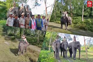Elephant safari opens in Burhachapori Sanctuary