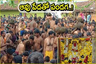 Cow Dung Throwing Festival In Erode Tamil Nadu