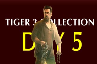 Salman khans Tiger 3 Box Office Collection Day 5