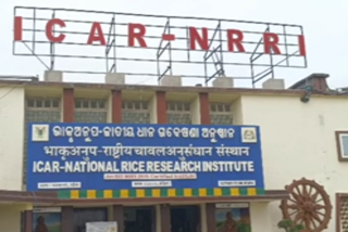 NRRIରେ ନୂତନ ପାଠ୍ୟକ୍ରମକୁ  ସାମିଲ