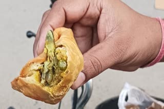 samosa containing dead lizard in Hapur