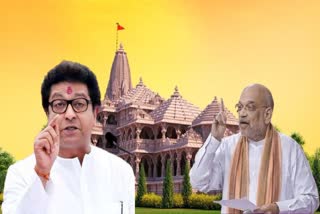 Raj Thackeray Criticized BJP