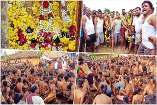 Chaniyadi Celebration  Chaniyadi Celebration After Diwali  Various Celebrations In South India  Celebration Throwing Cow Dung  Benefits Of Cow Dung  ചാണിയടി ആഘോഷം  ദീപാവലി ആഘോഷങ്ങള്‍  ദീപാവലി ഐതിഹ്യം  തെന്നിന്ത്യയിലെ ഉത്സവങ്ങള്‍  ചാണകം പരസ്‌പരം എറിയുന്ന ഉത്സവം