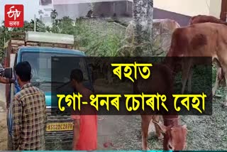 raha nagaon cattle smuggling