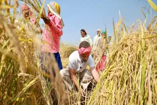 Agriculture Department