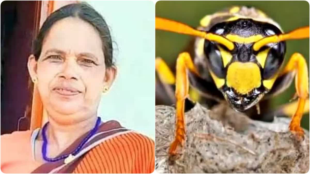 Woman dies due to wasp bite