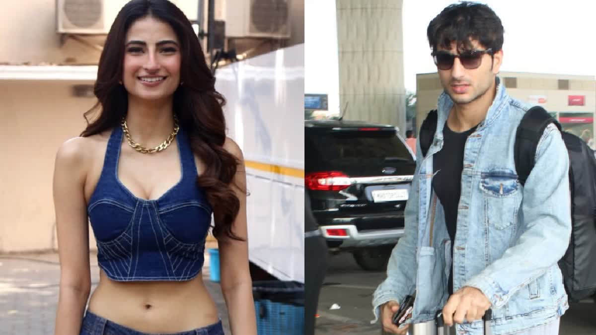 Ibrahim Ali Khan and Palak Tiwari