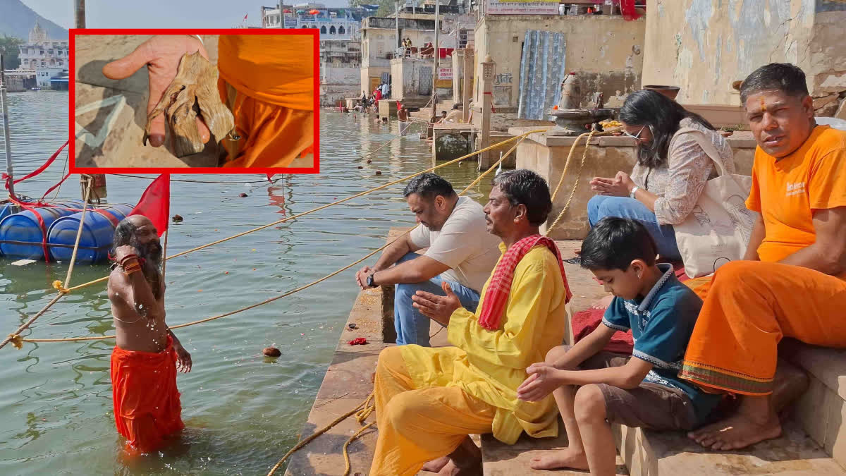 Holy Dip in Pushkar Sarovar