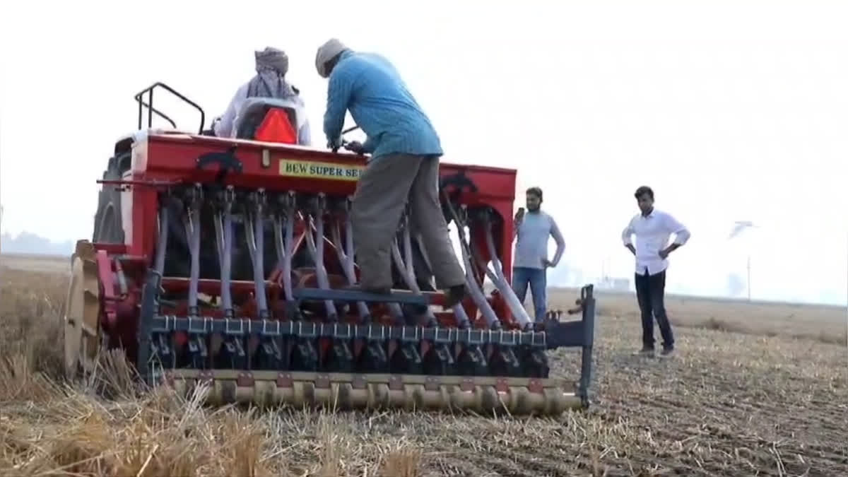 Wheat sowing in Haryana