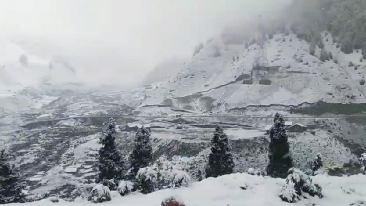 fresh snowfall in Gulmarg and Gurez Valley Kashmir famous tourist destination