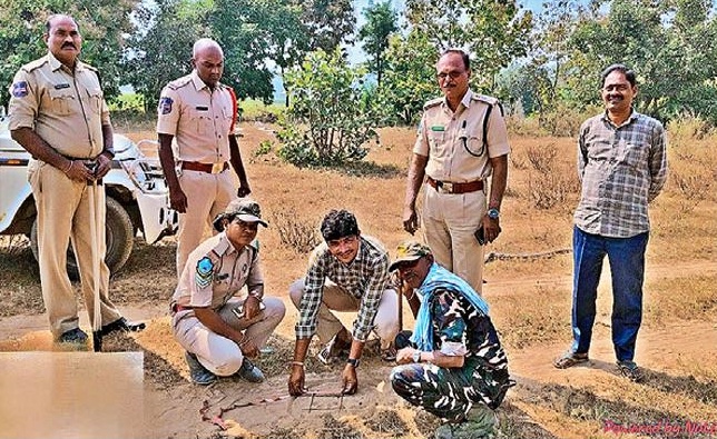 Tiger Wandering in Adilabad District Latest Updates