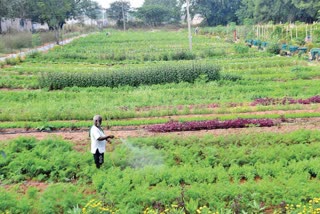 ORGANIC FARMING IN GHATKESAR