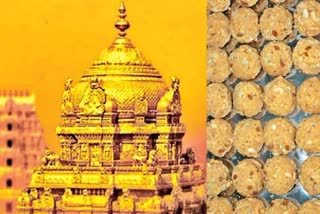 SIT Inquiry on Tirumala Laddu Issue