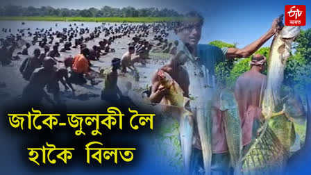 Community fishing at Hakai Beel in Dibrugarh