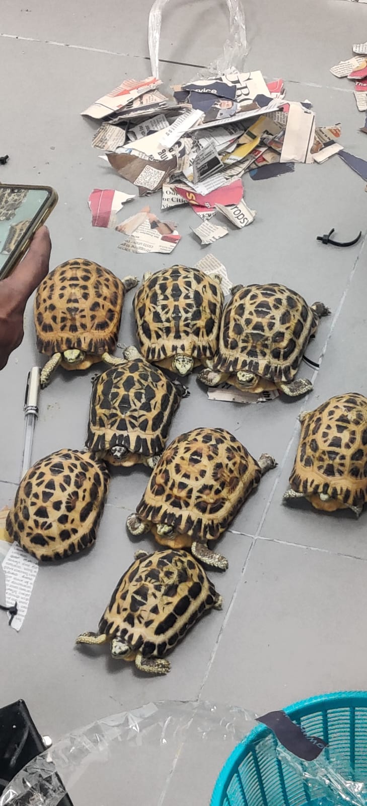 Rare Animals Stuffed In Trolley Bags Seized At Kempegowda International Airport In Bengaluru