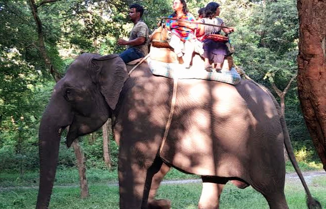 Elephant Dead at Bengal Safari Park