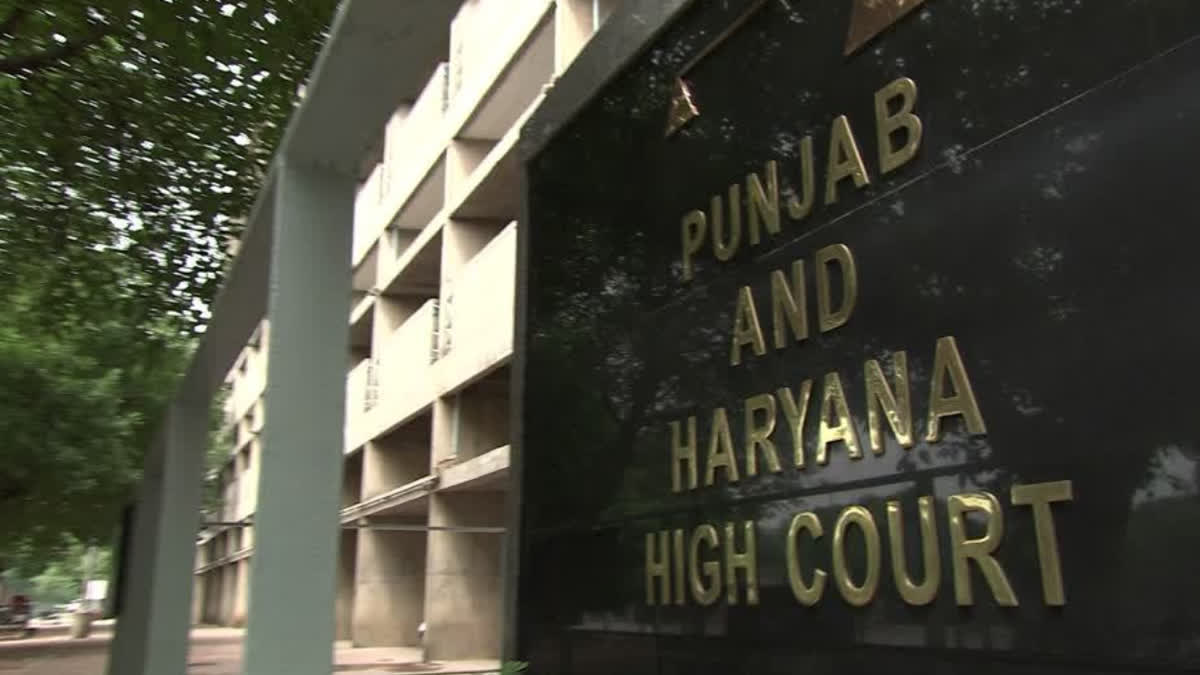 High Court's order to Powercom Compensation will be given on death due to electrocution in Punjab