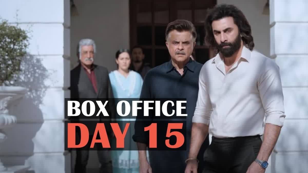 Animal box office collection day 15: Ranbir Kapoor starrer inches towards Rs 800 cr globally, netted over Rs 484 cr in India