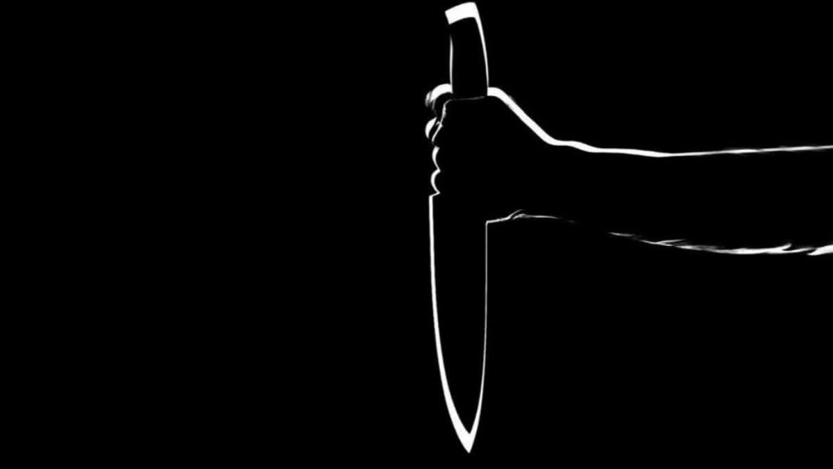 woman chops off boyfriends genitals