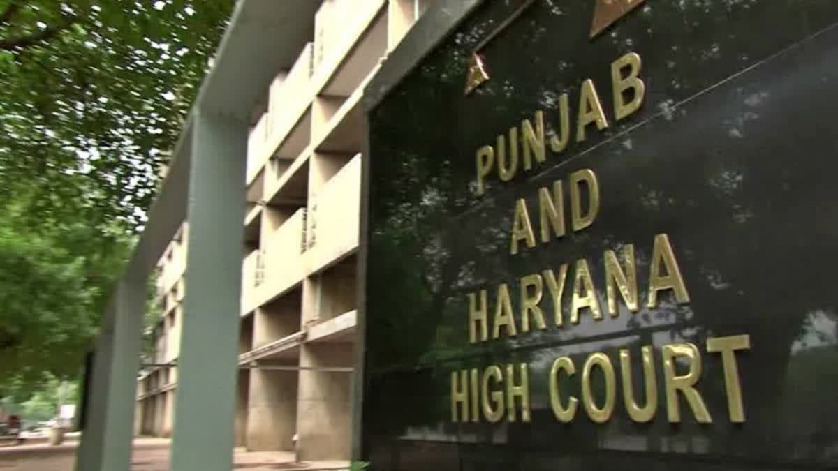 Punjab Haryana High Court