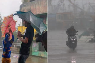 18 districts of Tamil Nadu had a chance to rain
